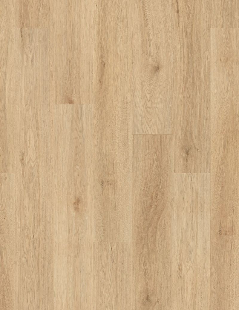 Image Alt Text